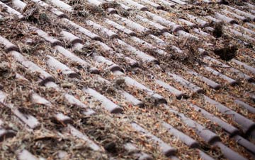 Garnant roof cleaning companies